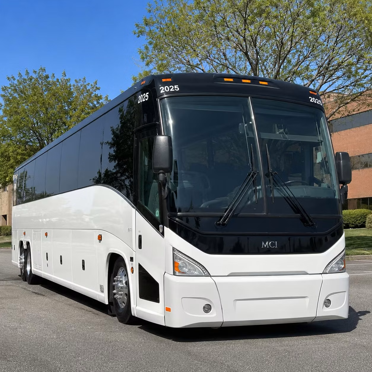 compare long distance transportation options in jackson and beyond